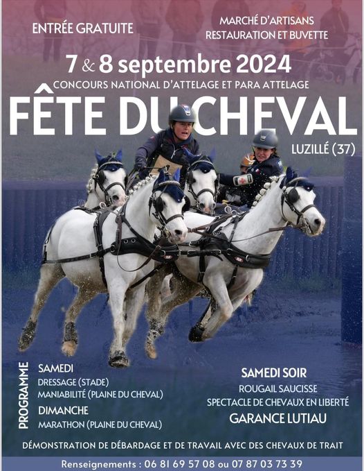 fête du cheval luzillé affiche