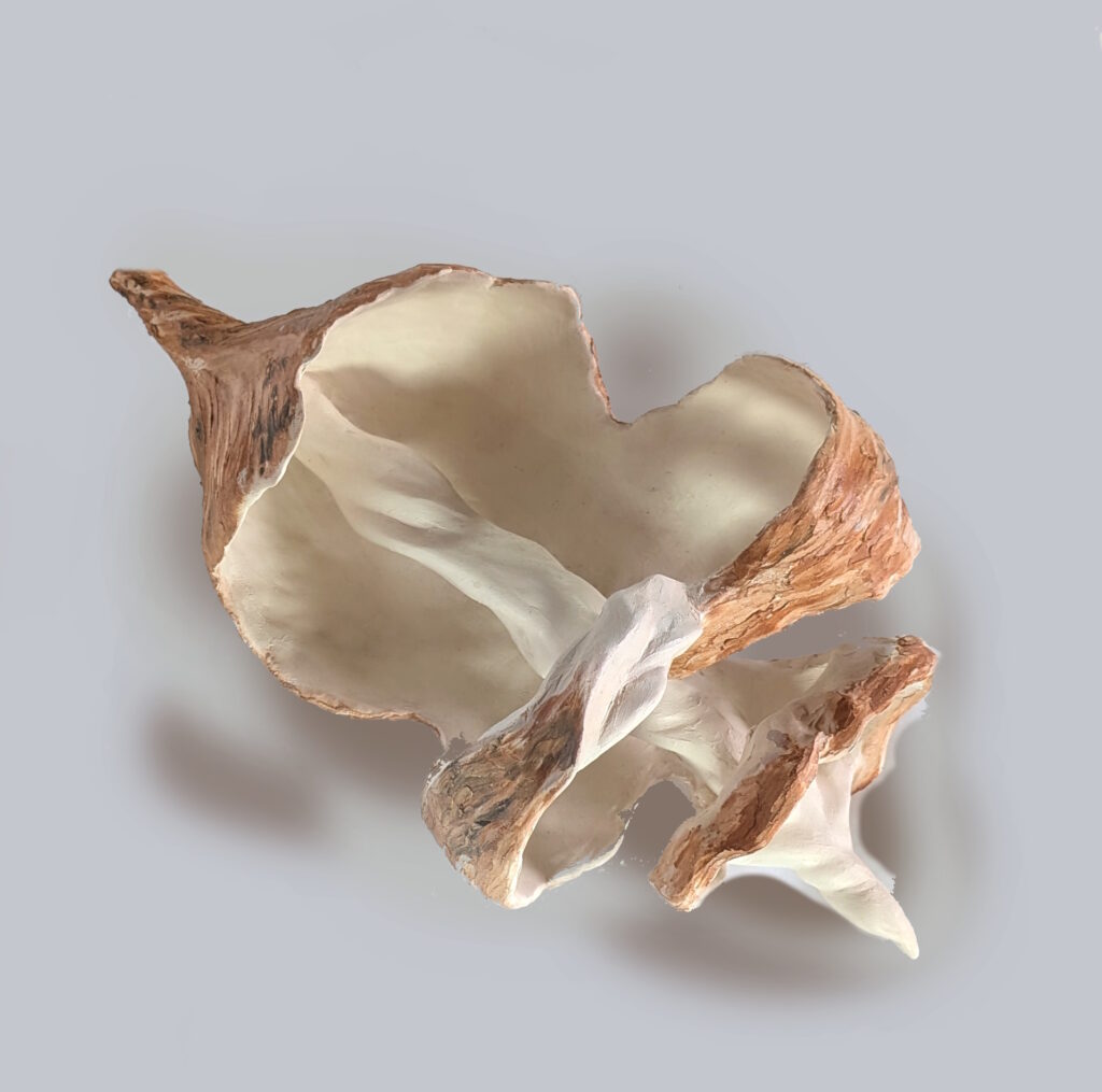 sculpture en argile coquillage bord de mer