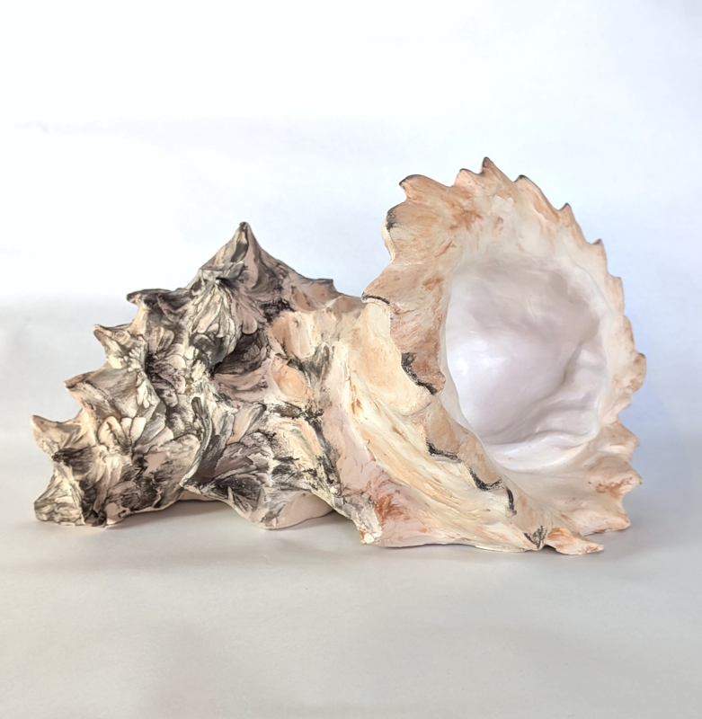 coquillage exotique décoration sculpture